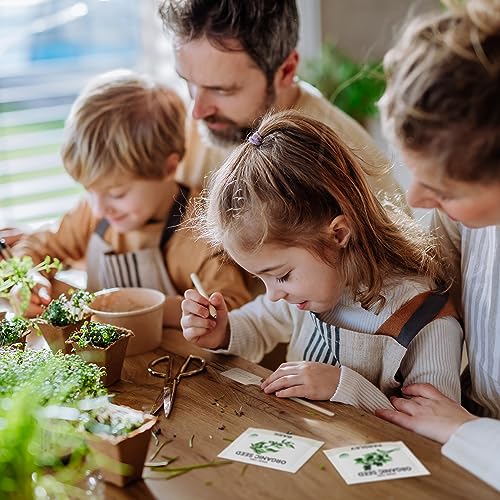 15 Certified Organic Herb Seeds Variety Pack (15 Count)