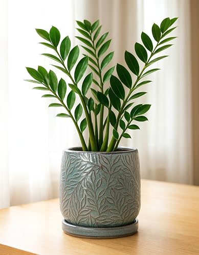 Embossed Leaves Ceramic Planter (6 Inch / Graphite Blue)