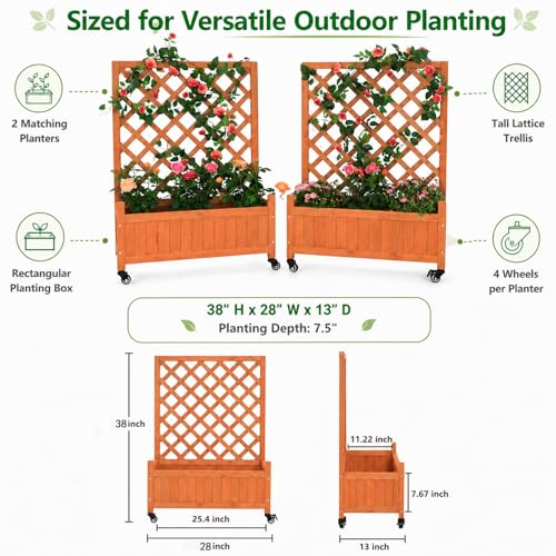 2 Trellis Raised Garden Bed with Wheels (Red Brown / H38 × W28 x D13 in)