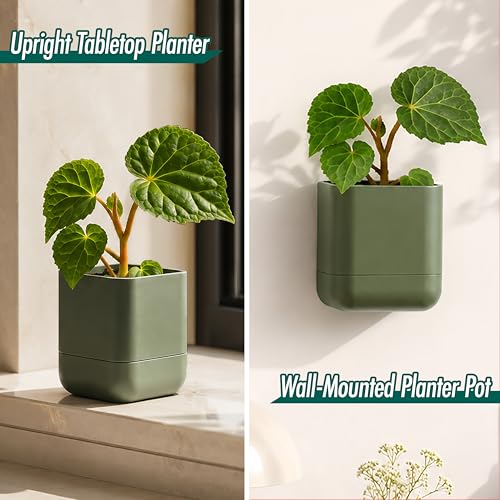 3.5 Inch Wall Mounted Self (3.5" (1 Pack) / Olive)