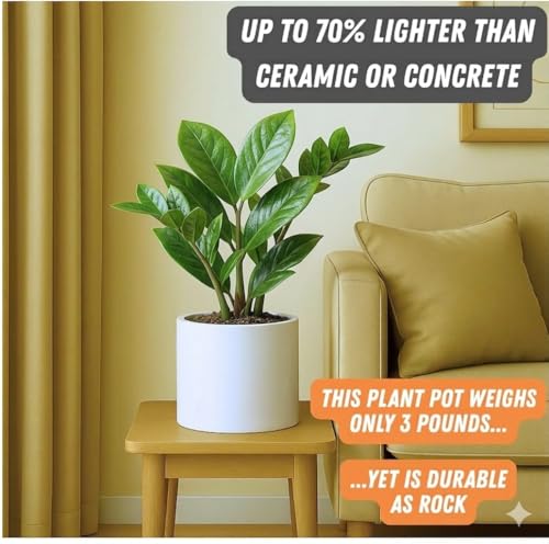 Large Planter for Indoor or Outdoor (Glossy White / 8 Inch)