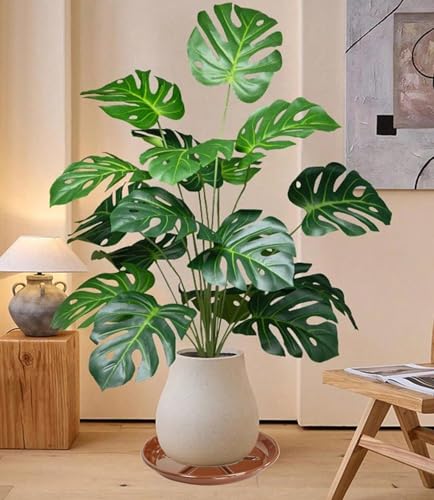 6 Pack of Plant Saucer 6 inch (6in*6 / Beown)