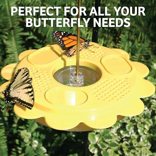 Flutterby 12 oz Outdoor Butterfly Feeder + 7.5 oz Nectar Bundle