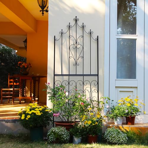 Garden Trellis for Climbing Plants 70.8" H x 25.6" W Metal Premium Quality Material Rust (70.8 inch-1 pack / Black)