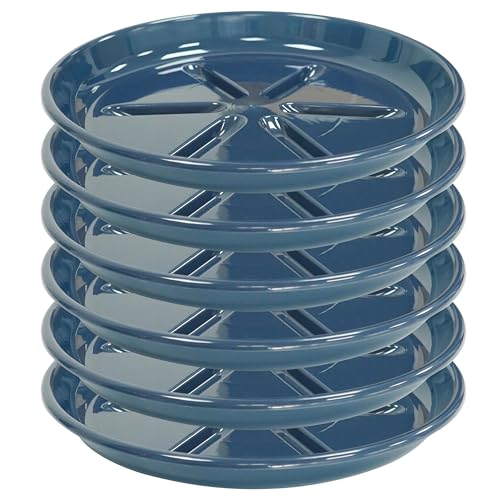 6 Pack of Plant Saucer 8 inch (8in*6 / Blue)