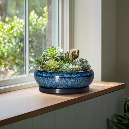 Bonsai Pots 13 Inch Ceramic Succulent Pots for Indoor Outdoor (13 Inch / Blue)