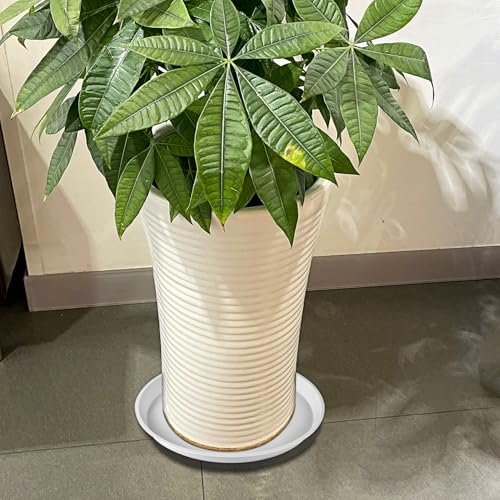 13.5 Inch Plant Saucer (13.5" (4 Pack) / White)
