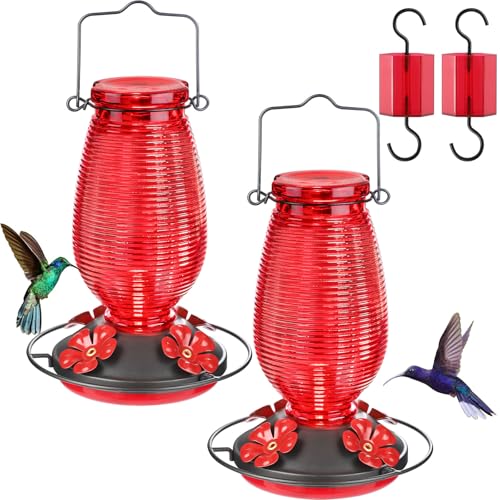 Glass Hummingbird Feeder for Outdoors Hanging