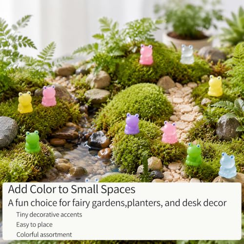 Mini Resin Frog Figures to Hide (Frogs)