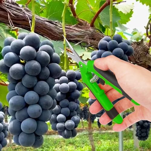 15 Pack 6.5 Inch Green Garden Pruning Scissors (15 Count)