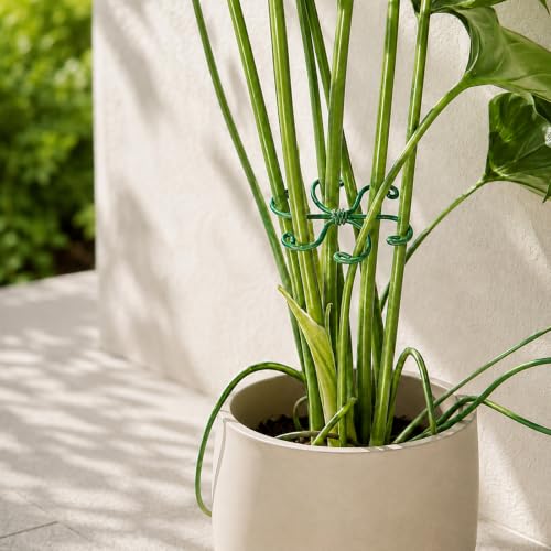 5PCS 2.75IN Monstera Plant Stem Support (Green / 2.75IN*2.75IN)