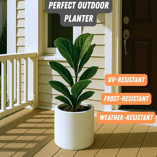 Large Planter for Indoor or Outdoor (Matte White With Saucer / 10 Inch)