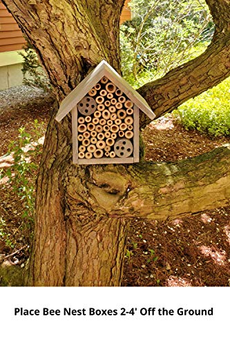 Bamboo Tube Bee Hotel for Solitary Bees (Farmhouse Grey)