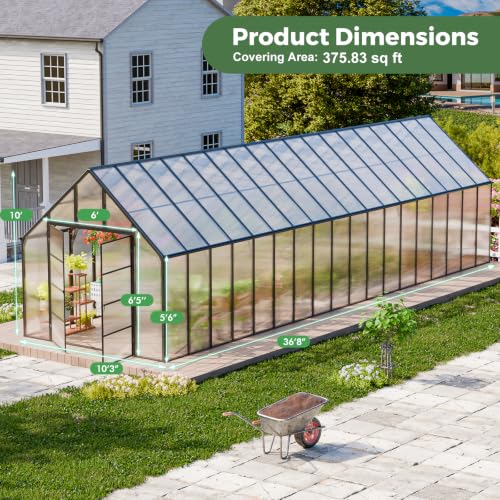 36x10x10 FT Polycarbonate Greenhouse for Outdoors w
