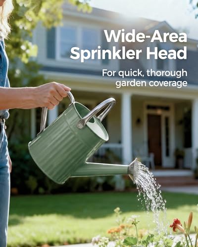 Metal Watering Can for Indoor Outdoor Plant 1 (Creamy Green)