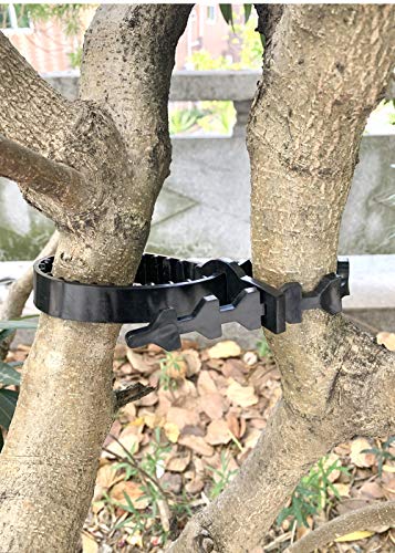 Tree Support Straps (10 Count)
