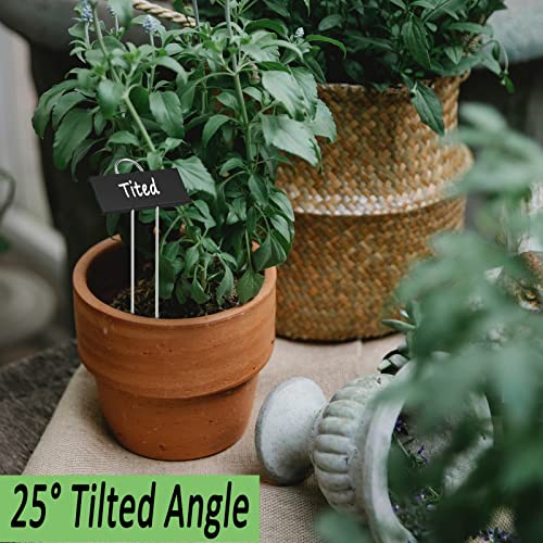 30pcs Plant Labels for Outdoor Garden Waterproof Plant Markers for Outdoor Plants (30 Count)