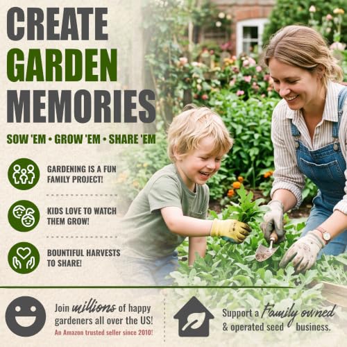 Arugula Seeds to Plant Heirloom Non (2 Packs)