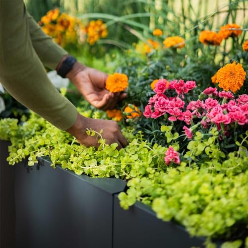 Raised Garden Bed (83" x 83" / Midnight Blue)