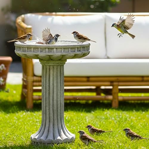 24" H Outdoor Bird Bath for Garden (Modern)