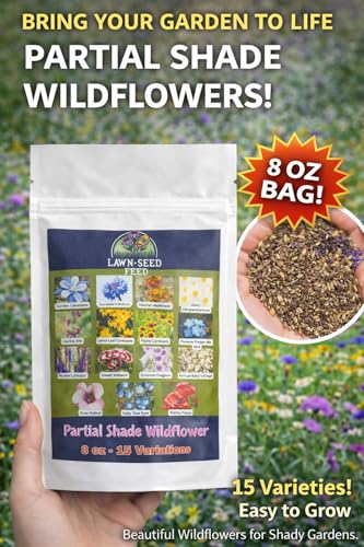 Partial Shade Wildflower Mix Seed (8 Ounce)