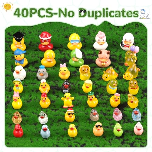 40PCS Mini Resin Ducks Little Ducks (Various Ducks-40pcs)