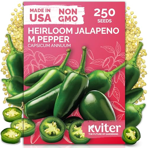 250 Jalapeno Peppers M Heirloom Vegetable Seeds
