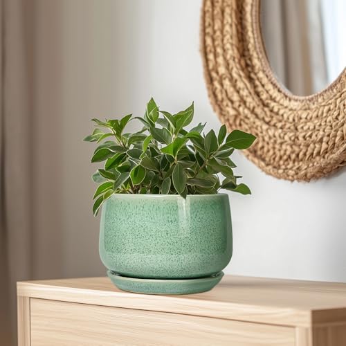 Ceramic Planter