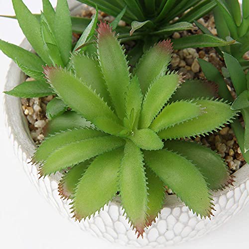 Small Fake Plants Assorted Faux Succulents in Pots Realistic Succulents Plants Artificial with Cement Pots for Home Table Office Desk Bathroom Shelf Living Room Decor (Succulent #01)