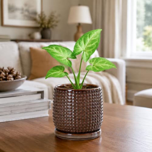 Beaded Ceramic Pot with Saucer (4.3 Inch / Stone Taupe)