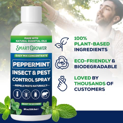 Peppermint Oil Spray for Rodents (8 Fl Oz (Pack of 1))