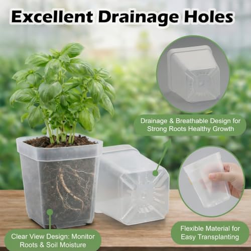 120 Packs Square Clear Nursery Pots with Drainage (Clear / 2.7" 120P)