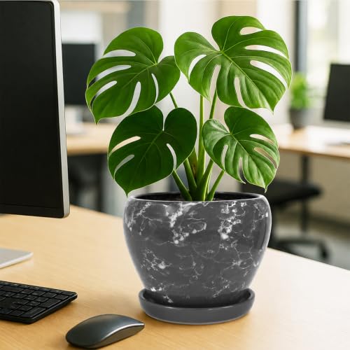 8 Inch Plant Pots (Gemstone Gray / 8 Inch)