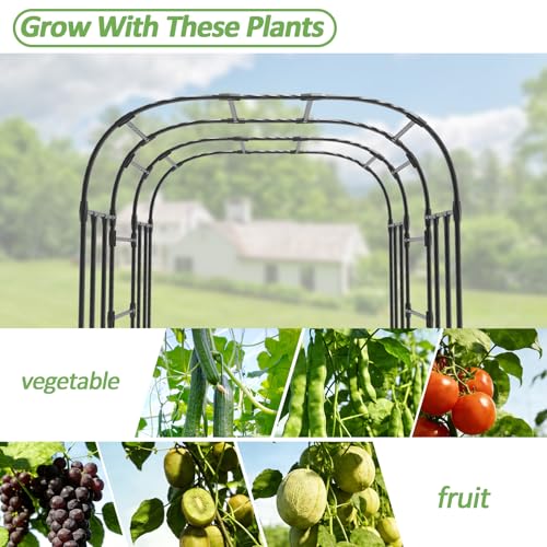 Garden Arch Trellis (69L*71W*87H inch)