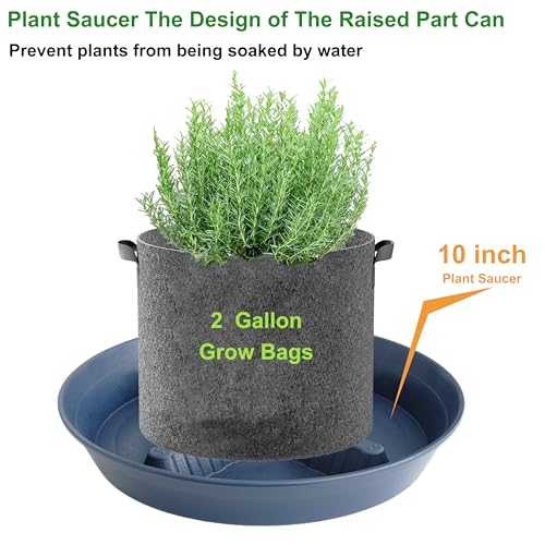 4 Pack Plant Saucer 10 inch (10"-4 Pack / Blue)