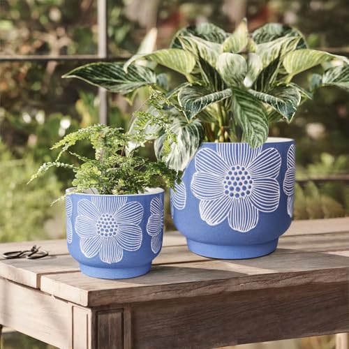 Ceramic Plant Pots (8+6 Inch / Modern Matte Blue Floral)