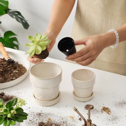 Succulent pots (4inch-beige / Large)
