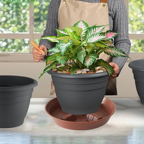 4 Pack Plant Saucer 10 inch (10"-4 Pack / Brown)