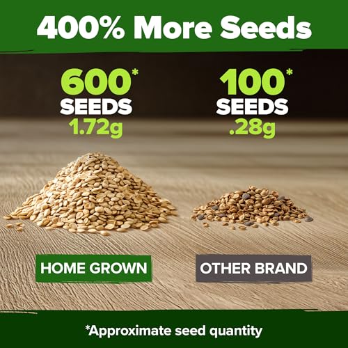 Beefsteak Tomato Seeds (2 Count)
