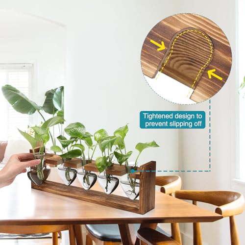 Plant Terrarium Hanging Propagation Stations Gift for Women