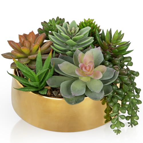 Artificial Succulent Plants in Pot 5.5 Inch Fake Succulents Arrangement (Gold Ceramic#style 2)