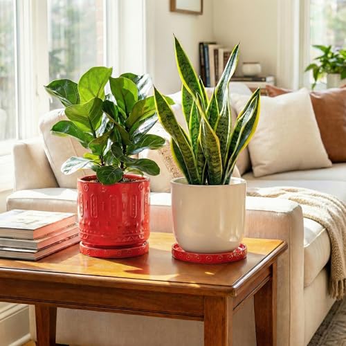 2 Pack Plant Plates to Catch Water (7.5 Inch (2 Pack) / Red)