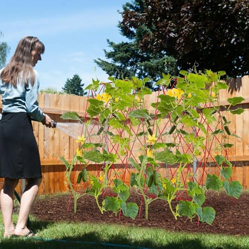 Cucumber Trellis 2 Pack (Garnet Red / 39.4" H)