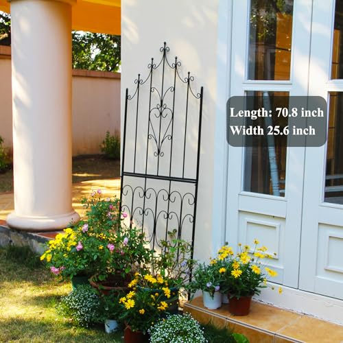 Garden Trellis for Climbing Plants 70.8" H x 25.6" W Metal Premium Quality Material Rust (70.8 inch-1 pack / Black)