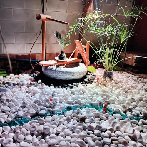 10 lbs White River Rocks for Plants