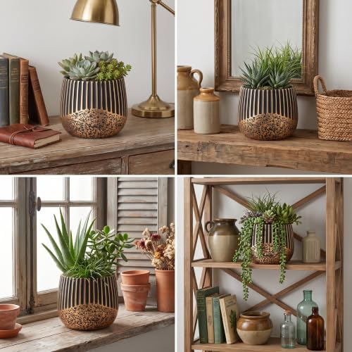 2‑Pack 6 Inch Succulent Planter Pots with Drainage Holes (Black Gold)