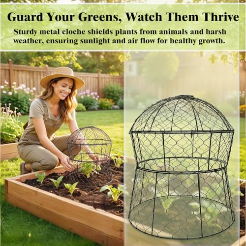 Garden Cloches for Plants 6 Pack Metal Plant Protectors from Animals Chicken Wire Cloche Updated Plant Cages for Outdoor Plants Vegetables Seedlings 13" D x 14" H (6 Pack)