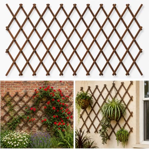 Expandable Trellis (Brown-1PC / 38" x 89")