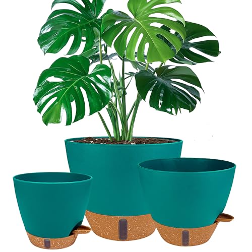 8/10/12 Inch Self Watering Pots for Indoor/Outdoor Plants (Turquoise / 8/10/12 inch)