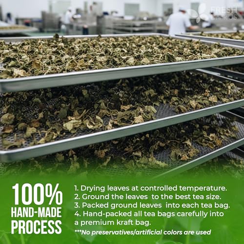 8oz Dried Gotu Kola Leaves (1 Count)